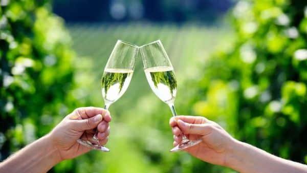 Hunter Valley Wine Tours | Sydney Winery Tours &amp; Tasting